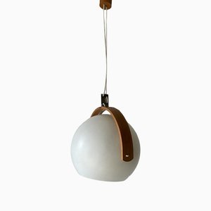 Space Age Plastic and Bent Wood Pendant Lamp from Temde, Switzerland, 1970s-RDS-1310736