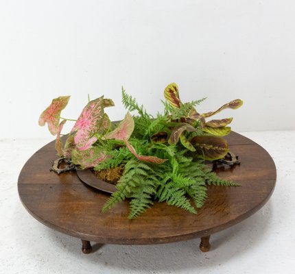 Spanish Basque Oak & Copper Brazier or Planter, 19th Century-RIU-1263696