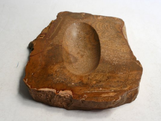 Spanish Fossil Wood Ashtray, 1970s-GT-734221