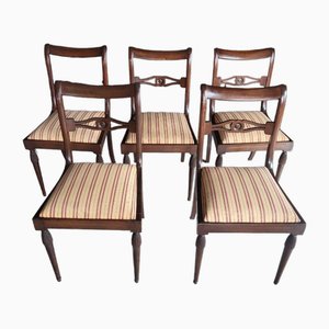 Spanish Mahogany Chairs, Set of 5-TCS-1821150