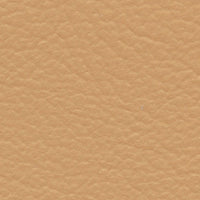 Spotted Eagle (FE4036)