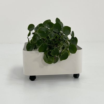 Square Planter on Wheels by Anna Castelli for Kartell, 1970s-WZS-2031338