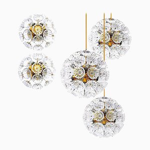 Starburst Flower Wall Lights and Chandeliers by Together, Set of 5-VDW-913230