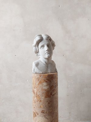 Statuary Bust, 1800s, Carrara Marble-TDA-1801189