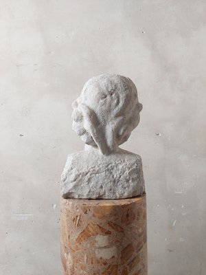 Statuary Bust, 1800s, Carrara Marble-TDA-1801189