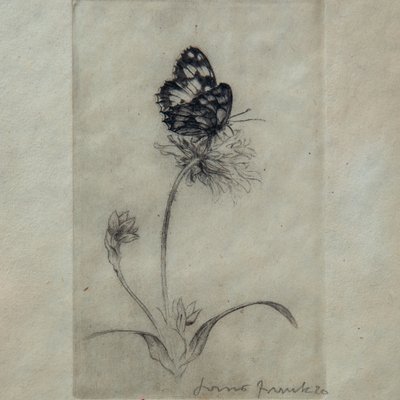 Still Life, 1900s, Pencil on Paper, Framed-MAX-1173692