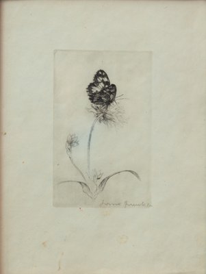 Still Life, 1900s, Pencil on Paper, Framed-MAX-1173692