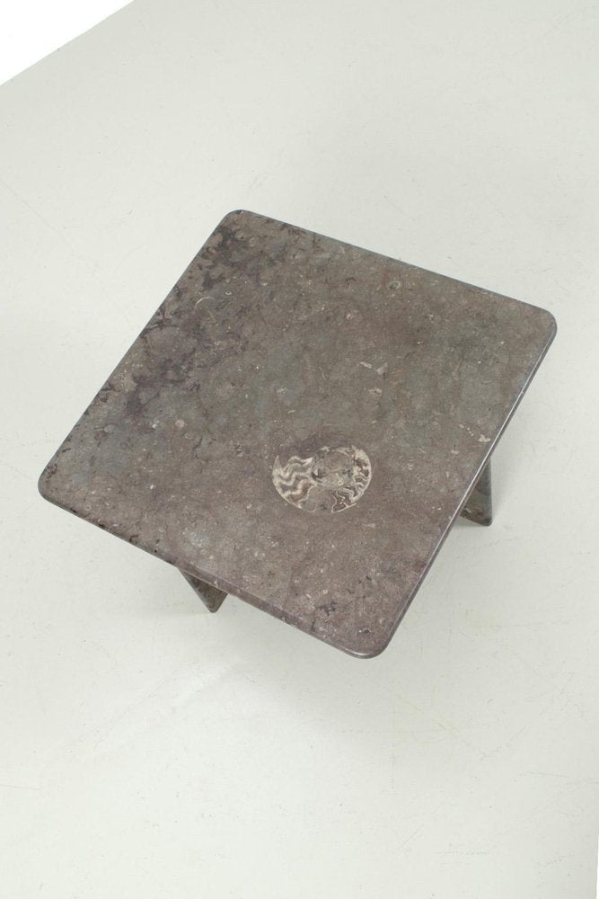 Stone Coffee Table with Ammonite