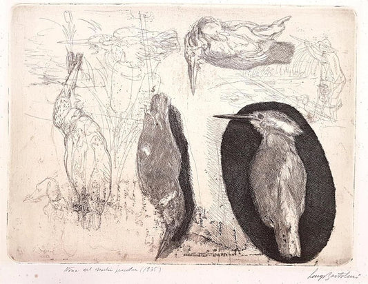 Storia del Martin Pescatore - Etching by Luigi Bartolini - 1935 1935