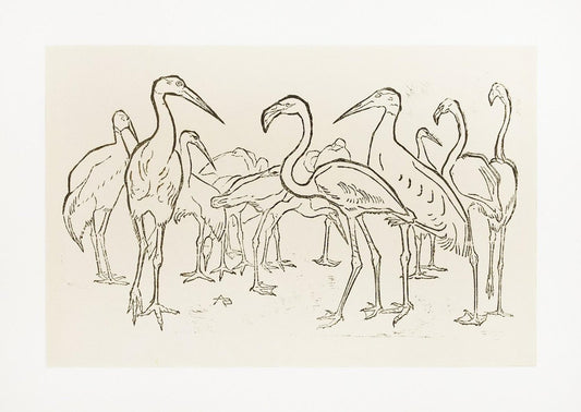 Storks and Flamingos - Original Woodcut by Unknown French Artist Early 1900