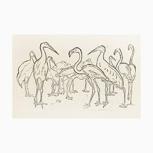 Storks and Flamingos - Original Woodcut by Unknown French Artist Early 1900-ZCI-755799