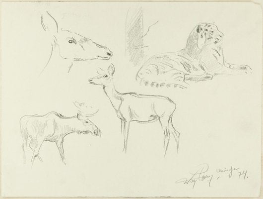 Study of Animals - Original Pencil Drawing by Willy Lorenz - 1940s 1940s-ZCI-758778