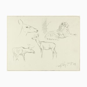 Study of Animals - Original Pencil Drawing by Willy Lorenz - 1940s 1940s-ZCI-758778