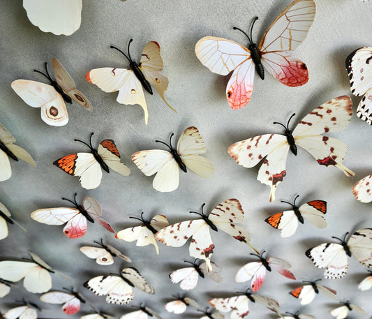 Sumit Mehndiratta, Butterfly Park 9, 2022, Mixed Media on Wood Panel