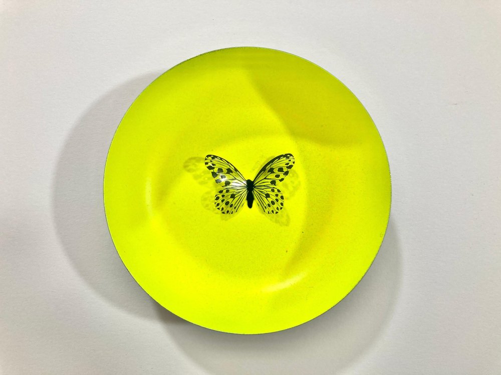 Sumit Mehndiratta, Neon Butterflies, 2022, Stainless Steel Discs, Set of 6