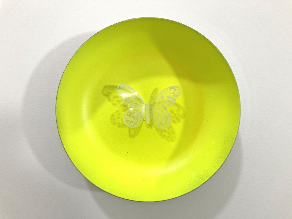 Sumit Mehndiratta, Neon Butterflies, 2022, Stainless Steel Discs, Set of 6