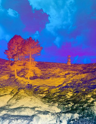 Sumit Mehndiratta, Thermal Dreams, 2023, Archival Pigment Print on Canvas-CHG-2037304