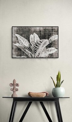 Sumit Mehndiratta, Vintage Croton, 2021, Archival Ink Print on Canvas-CHG-1333027