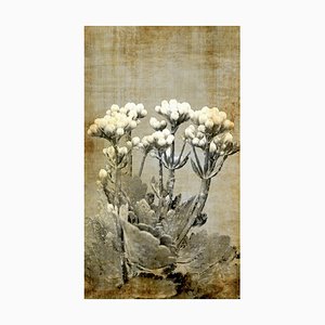 Sumit Mehndiratta, Vintage Jasmine, 2021, Archival Ink Print on Canvas-CHG-1333026