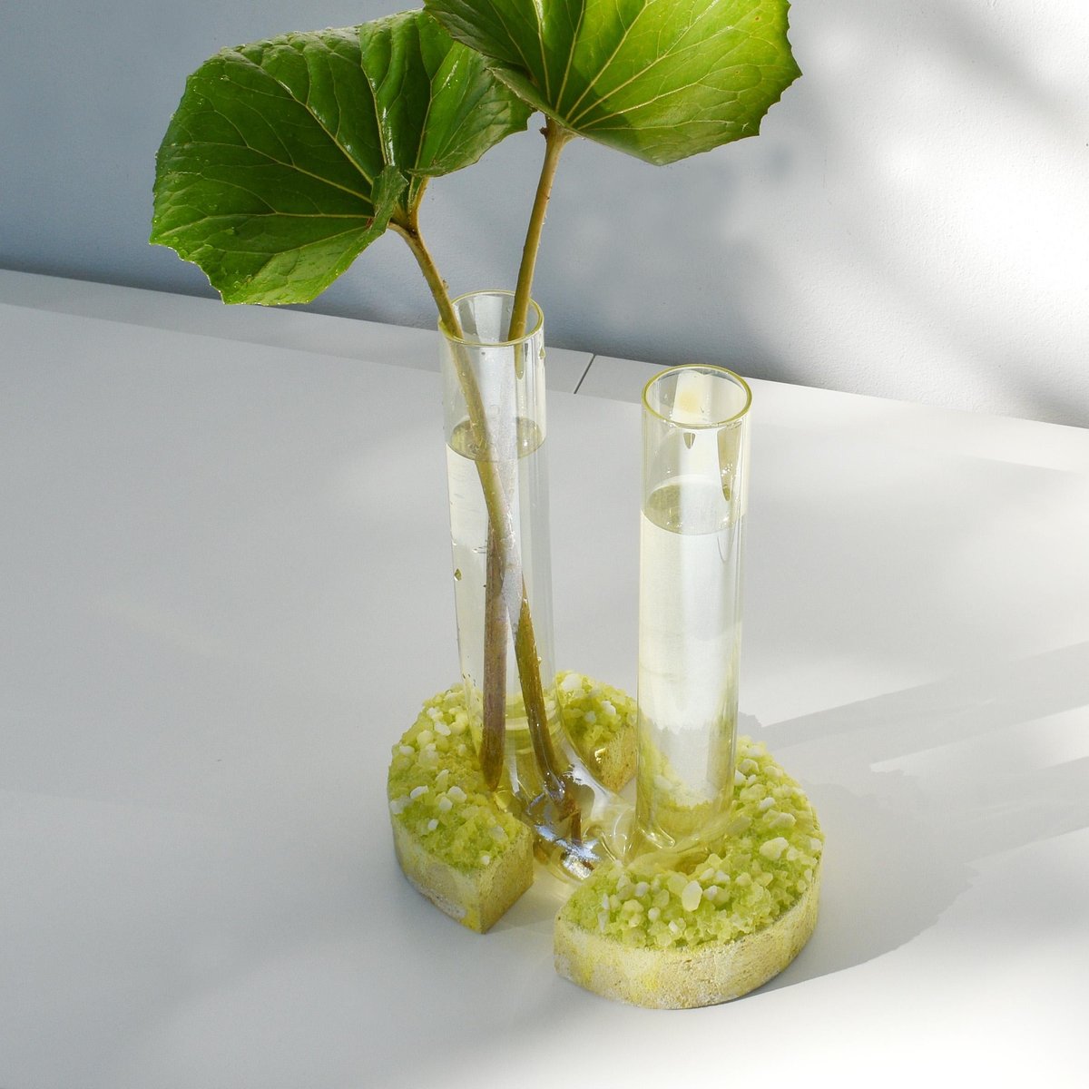 Summer Cochlea del Risveglio Seasons Edition Vase by Coki Barbieri