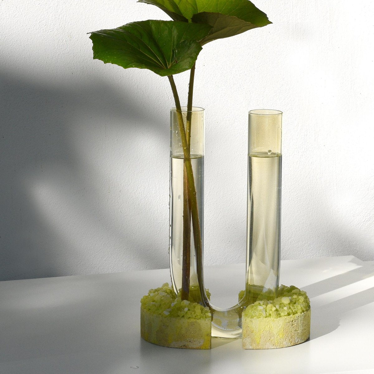 Summer Cochlea del Risveglio Seasons Edition Vase by Coki Barbieri