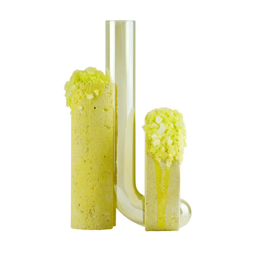 Summer Cochlea Della Metamorfosi 2 Seasons Edition Vase by Coki Barbieri