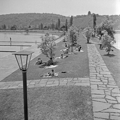 Sunbathers on the Shore of Max Eyth Lake, Stuttgart Germany, 1935-DYV-988147