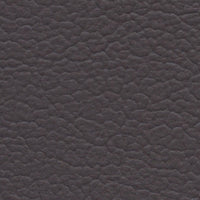 Swallow- Tailed Kite (FE4073)