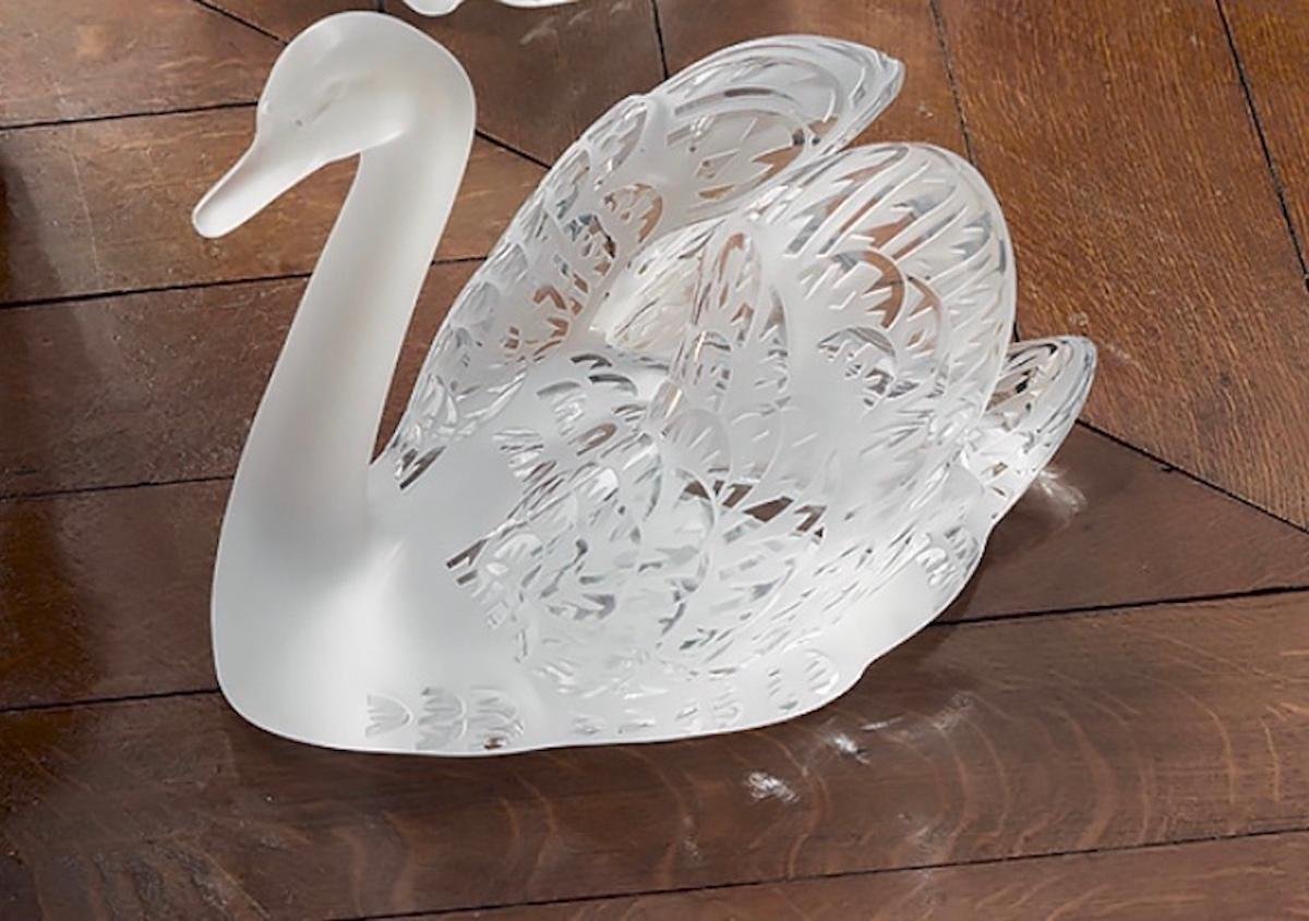 Swan Head