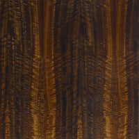 Glossy frisé eucalypt