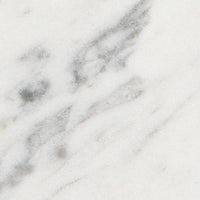 Matt Carrara white marble