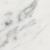 bianco Carrara venatino statuarietto opaco