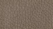 Utah - 105 Taupe