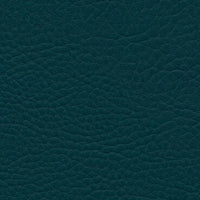 skai®  teal
