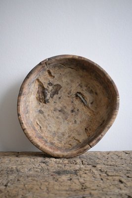 Swedish Burl Birch Bowl, 1850s-DAL-1799526