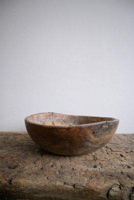 Swedish Burl Birch Bowl, 1850s-DAL-1799526