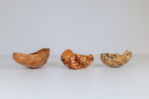 Swedish Folk Art Organic Burl Bowls, 1960s, Set of 3-UYK-999419