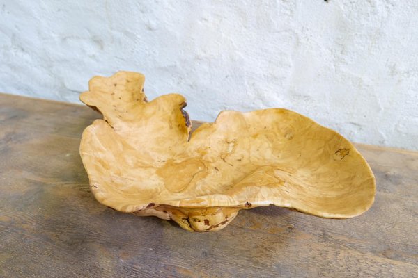 Swedish Folk Art Organic Burl Curly Birch Tiger Bowl, 1980s-UYK-1396130