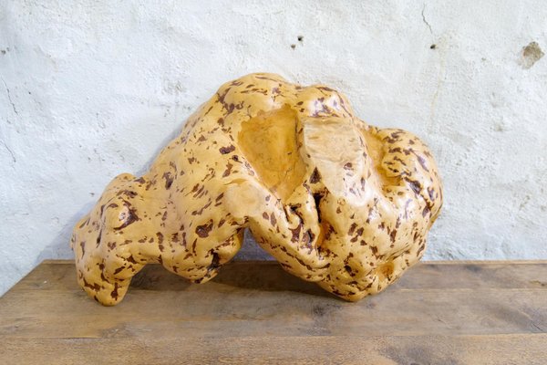 Swedish Folk Art Organic Burl Curly Birch Tiger Bowl, 1980s-UYK-1396130