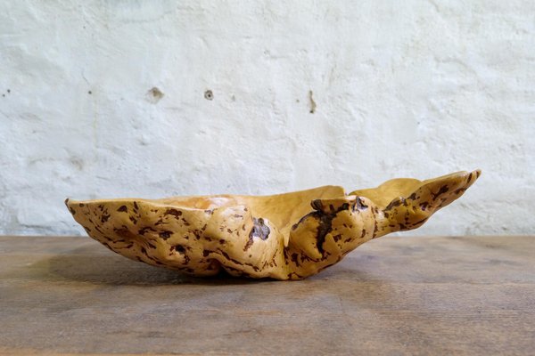 Swedish Folk Art Organic Burl Curly Birch Tiger Bowl, 1980s-UYK-1396130