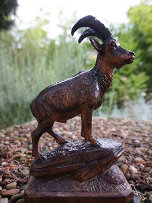 Swiss Black Forest Ibex Sculpture, 1920s, Wood-EA-1703971