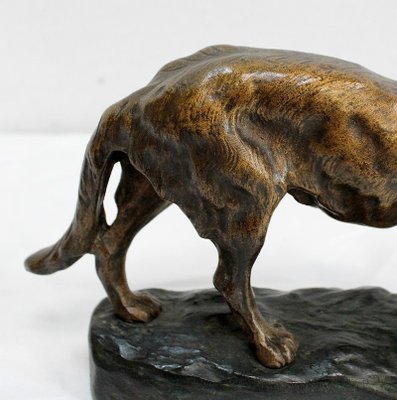 T.F. Cartier, German Shepherd Dog, Early 20th-Century, Bronze-RVK-1058471