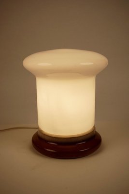 Table Lamp with Opaline Glass and Ceramic Base from Kamenicky Senov, 1960s-BAF-763530