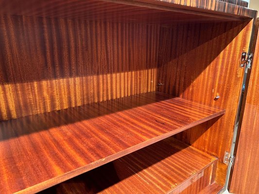 Tall Art Deco Cabinet in Macassar Veneer and Mahogany, France, 1930s-NNB-1436451