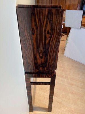 Tall Art Deco Cabinet in Macassar Veneer and Mahogany, France, 1930s-NNB-1436451