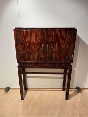 Tall Art Deco Cabinet in Macassar Veneer and Mahogany, France, 1930s-NNB-1436451