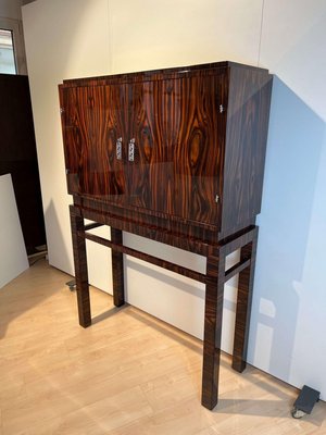 Tall Art Deco Cabinet in Macassar Veneer and Mahogany, France, 1930s-NNB-1436451