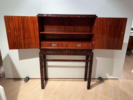 Tall Art Deco Cabinet in Macassar Veneer and Mahogany, France, 1930s-NNB-1436451