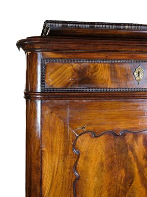 Tall Cabinet in Polished Mahogany, 1850s-UY-1723446