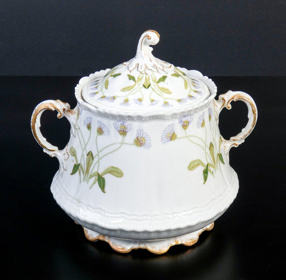 Tea Service by T. Haviland Limoges & L. Beltrami, Set of 28